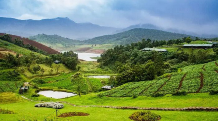 ooty